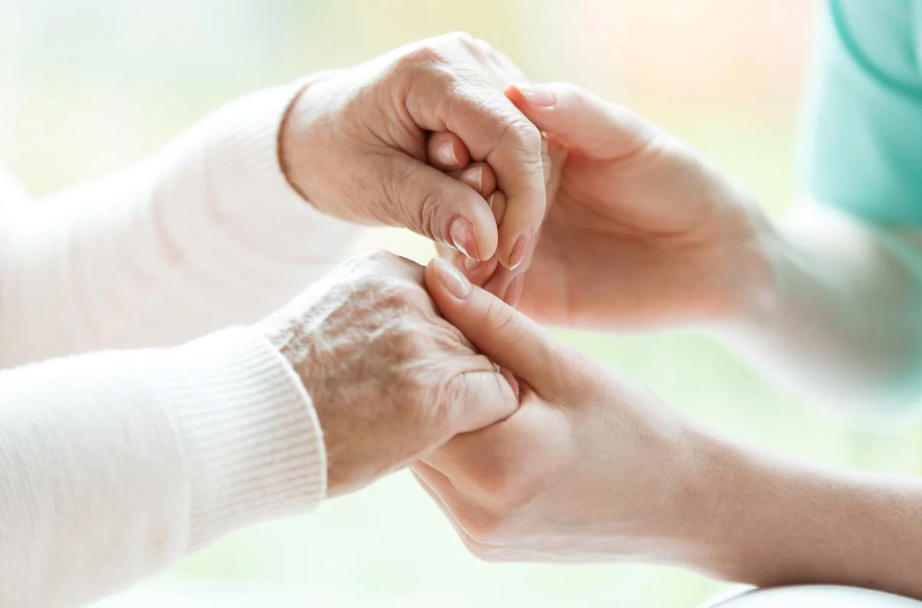 Illustration for the article: The Selwyn Foundation Backs Elli Cares to Help Seniors Age Well at Home